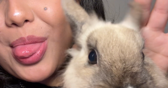 maeva pet sitter à MONTIGNY LE BRETONNEUX 78180_1