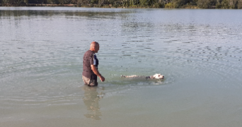 dominique pet sitter à SOUSSANS 33460_1