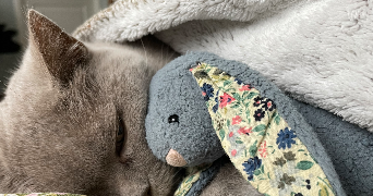 sixtine pet sitter à PARIS 14 75014_1