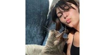 romane pet sitter à MARSEILLE 09 13009_0