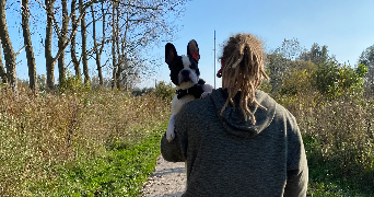 justin pet sitter à BETHUNE 62400_1