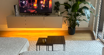 anouk pet sitter à COURBEVOIE 92400_4