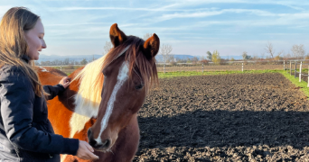 ema pet sitter à AULNAT 63510_0