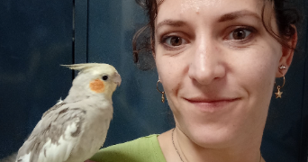 léna pet sitter à ST BERTHEVIN 53940_2