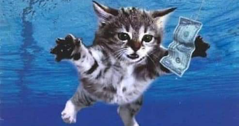 hélène pet sitter à BOUCAU 64340_0