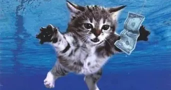 hélène pet sitter à BOUCAU 64340