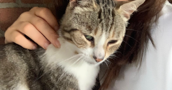amélie pet sitter à MASSY 91300_2
