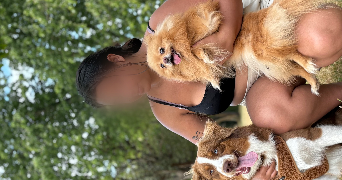 dylan pet sitter à MONTIGNY LE BRETONNEUX 78180_6