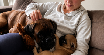 elaura pet sitter à MONTREUIL 93100_3