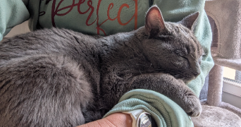 muriel pet sitter à MONTELIMAR 26200_2