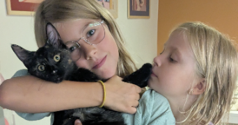 celine pet sitter à SEYSSINS 38180_6