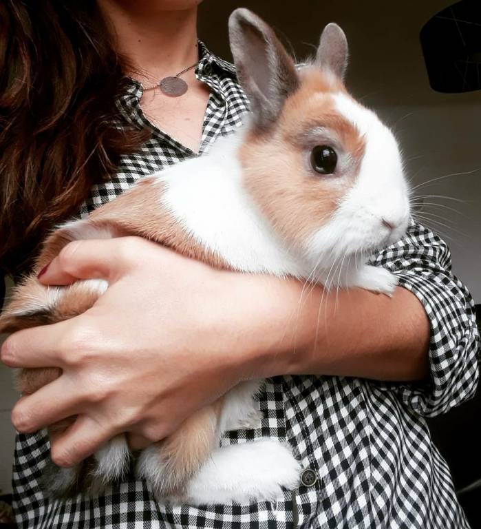 Anne-Marie pet sitter à Paris 75010_8