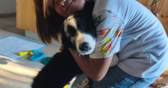 audrey pet sitter à POITIERS 86000_2