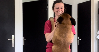 olga pet sitter à TOURS 37000_4