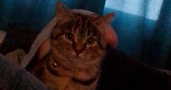 océane pet sitter à La loupe 28240_3
