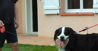 jean pierre pet sitter à PIBRAC 31820