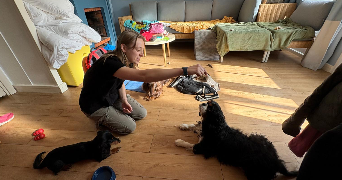 elise pet sitter à TAVERNY 95150_3