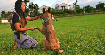 veronique pet sitter à L UNION 31240_6