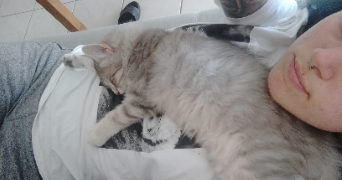 coralie pet sitter à CHATEAUNEUF SUR LOIRE 45110_0