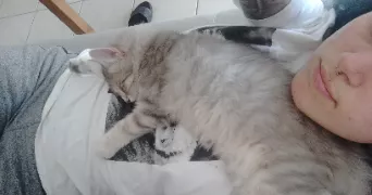 coralie pet sitter à CHATEAUNEUF SUR LOIRE 45110