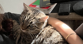 chloé pet sitter à Vélizy-Villacoublay 78140_2