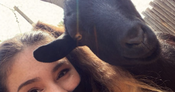 célia pet sitter à CHAMPIGNY SUR MARNE 94500_3