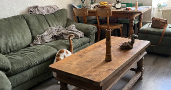 luna pet sitter à PONTARLIER 25300_1