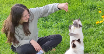 clara pet sitter à CAUDECOSTE 47220_0