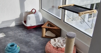 lilouanne pet sitter à ST HERBLAIN 44800_4