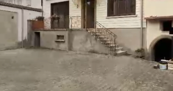 natchasorn dog sitter à MOLSHEIM 67120_1