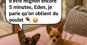 andrea pet sitter à PARIS 11 75011_4