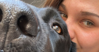 angeline pet sitter à CARCASSONNE 11000_10