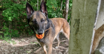 grégoire pet sitter à ANNECY 74940_2