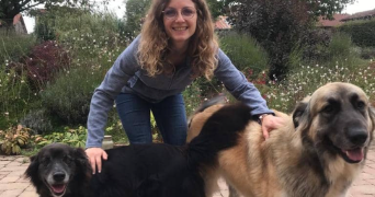 elodie pet sitter à MERIGNAC 33700_9