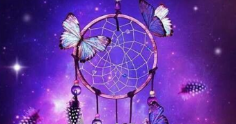 ryan pet sitter à LE COUDRAY ST GERMER 60850_0