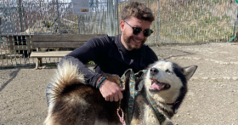 thibaut pet sitter à NEMOURS 77140_1