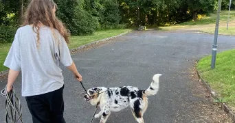 soline pet sitter à ST BRIEUC 22000