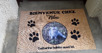catherine pet sitter à Yzeures-Sur-Creuse 37290_2
