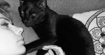 harmony pet sitter à ARGENTEUIL 95100_5