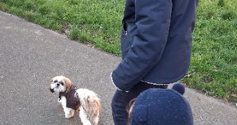 aurelien pet sitter à NEUILLY SUR SEINE 92200_2