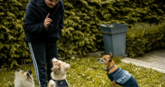 alizée pet sitter à ST HILAIRE DE BRETHMAS 30560_2