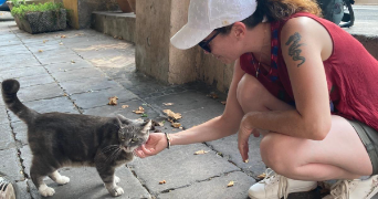 emilie cat sitter à NEUVILLE SUR SAONE 69250_0