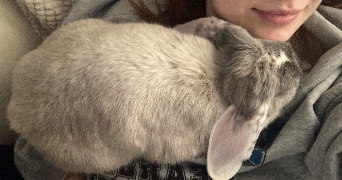 solène pet sitter à AMIENS 80000_1