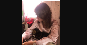 Clara pet sitter à NANTES 44300_0