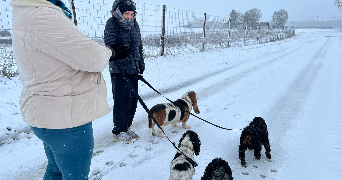 lise pet sitter à ST AMAND LES EAUX 59230_7