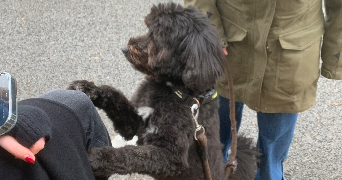 alice pet sitter à PARIS 16 75016_1