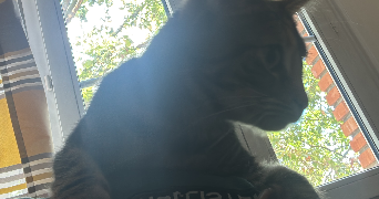 paul michel pet sitter à PARIS 17 75017_2