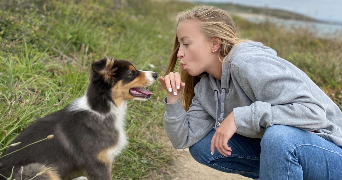 lisa pet sitter à CORMEILLES EN PARISIS 95240_0