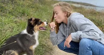 lisa pet sitter à CORMEILLES EN PARISIS 95240