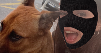 olesea dog sitter à AULNAY SOUS BOIS 93600_0